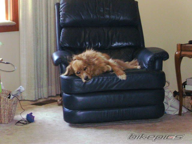 Photo 1420948