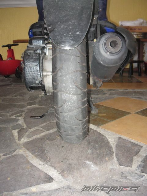 Photo 1420951