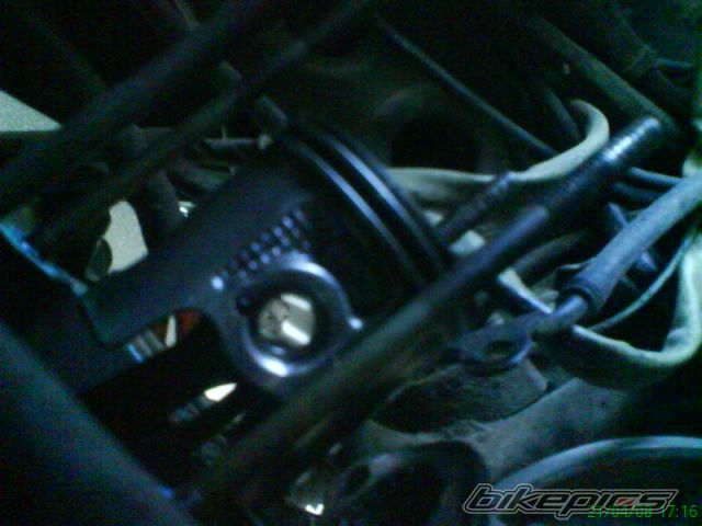 Photo 1421145