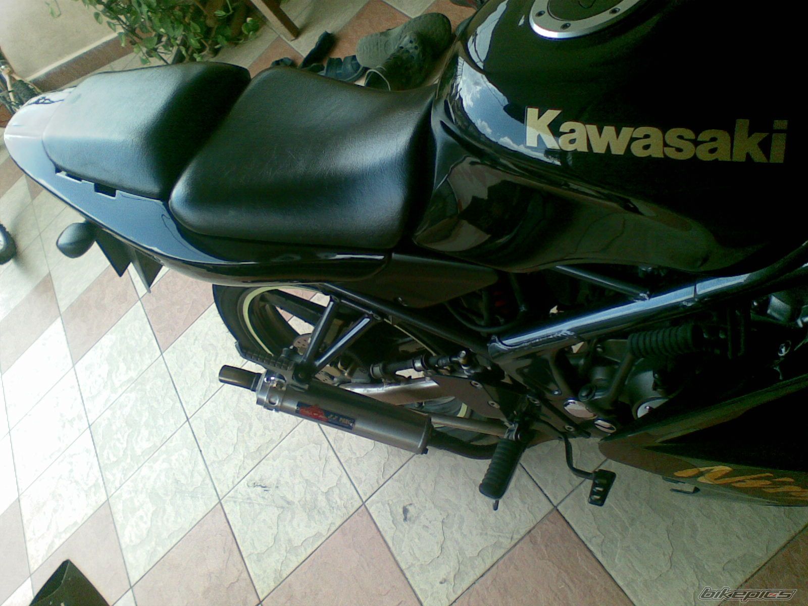 Photo 1421262