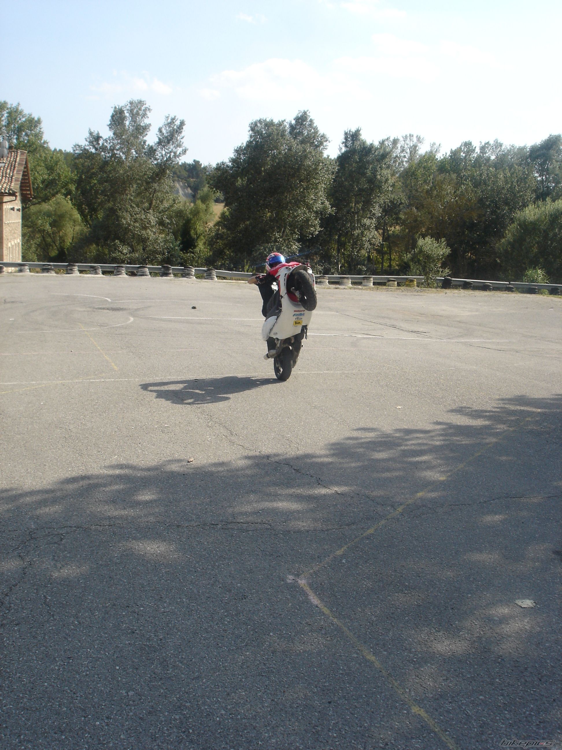 Photo 1421306