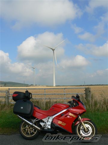 Photo 1421368