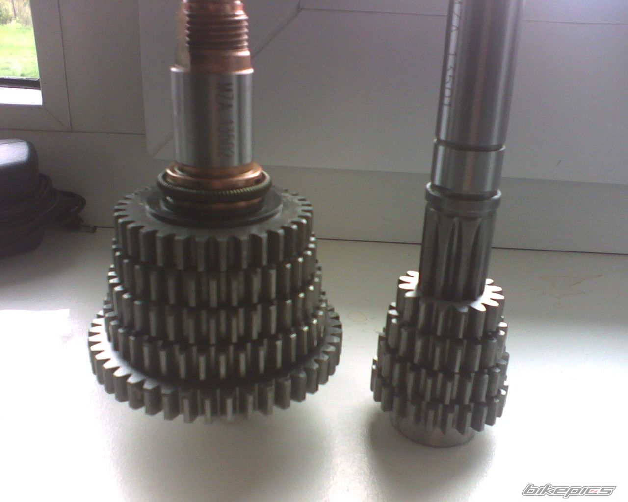 Photo 1421390
