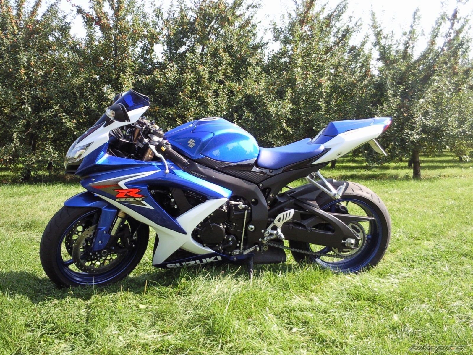 Photo 1421394