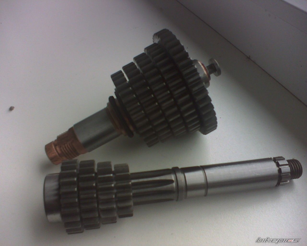 Photo 1421398