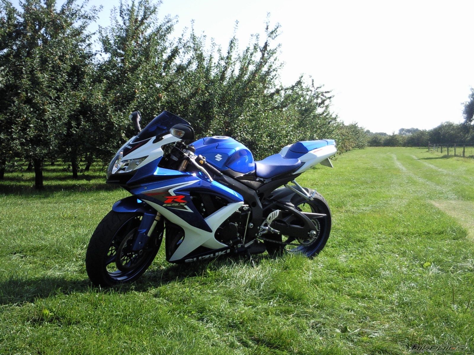 Photo 1421400