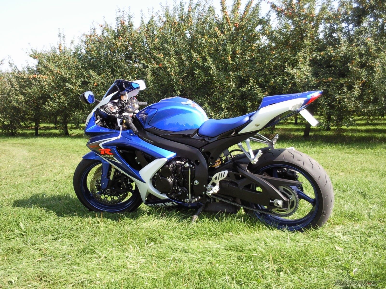 Photo 1421404