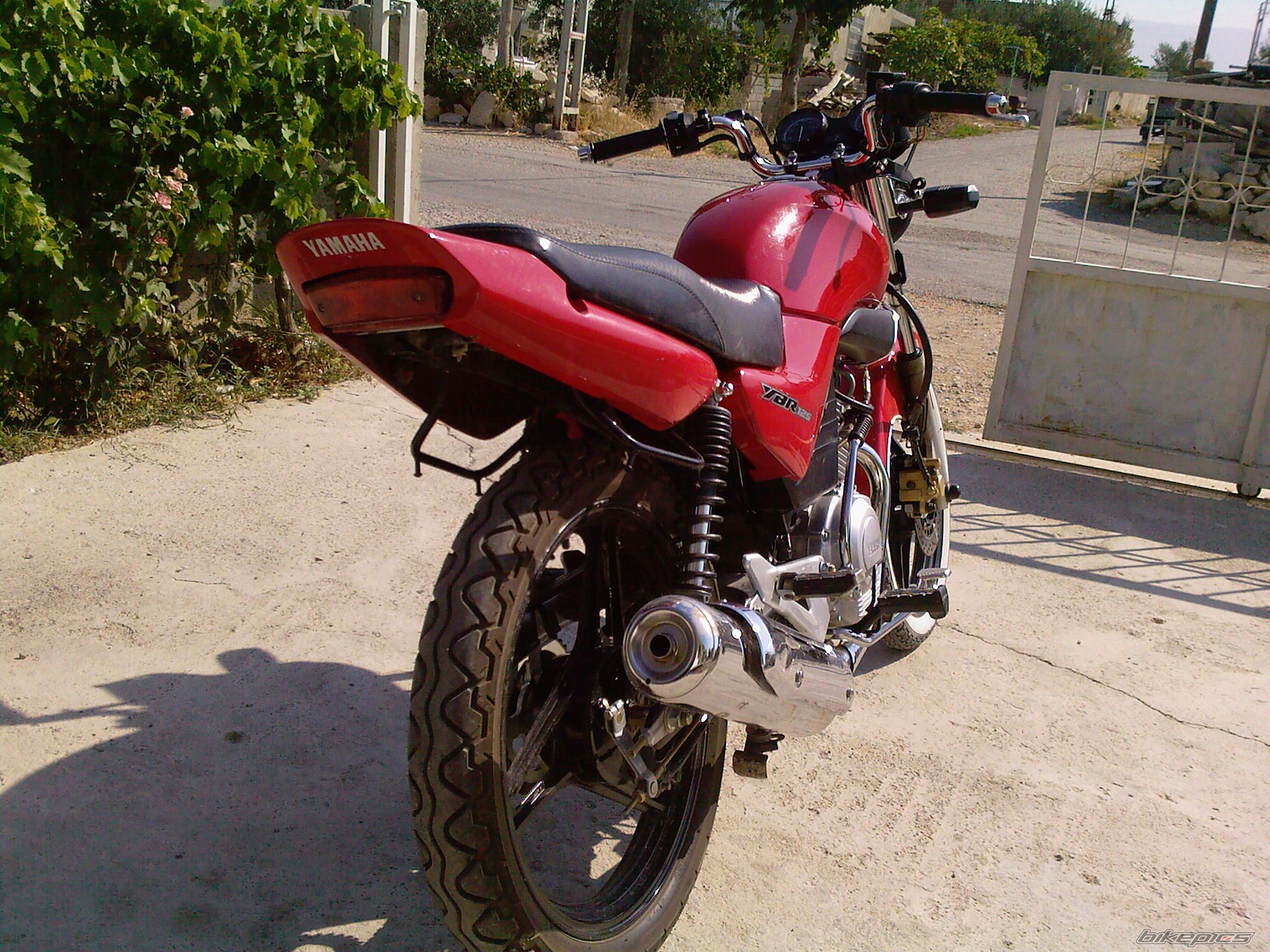 Photo 1421428