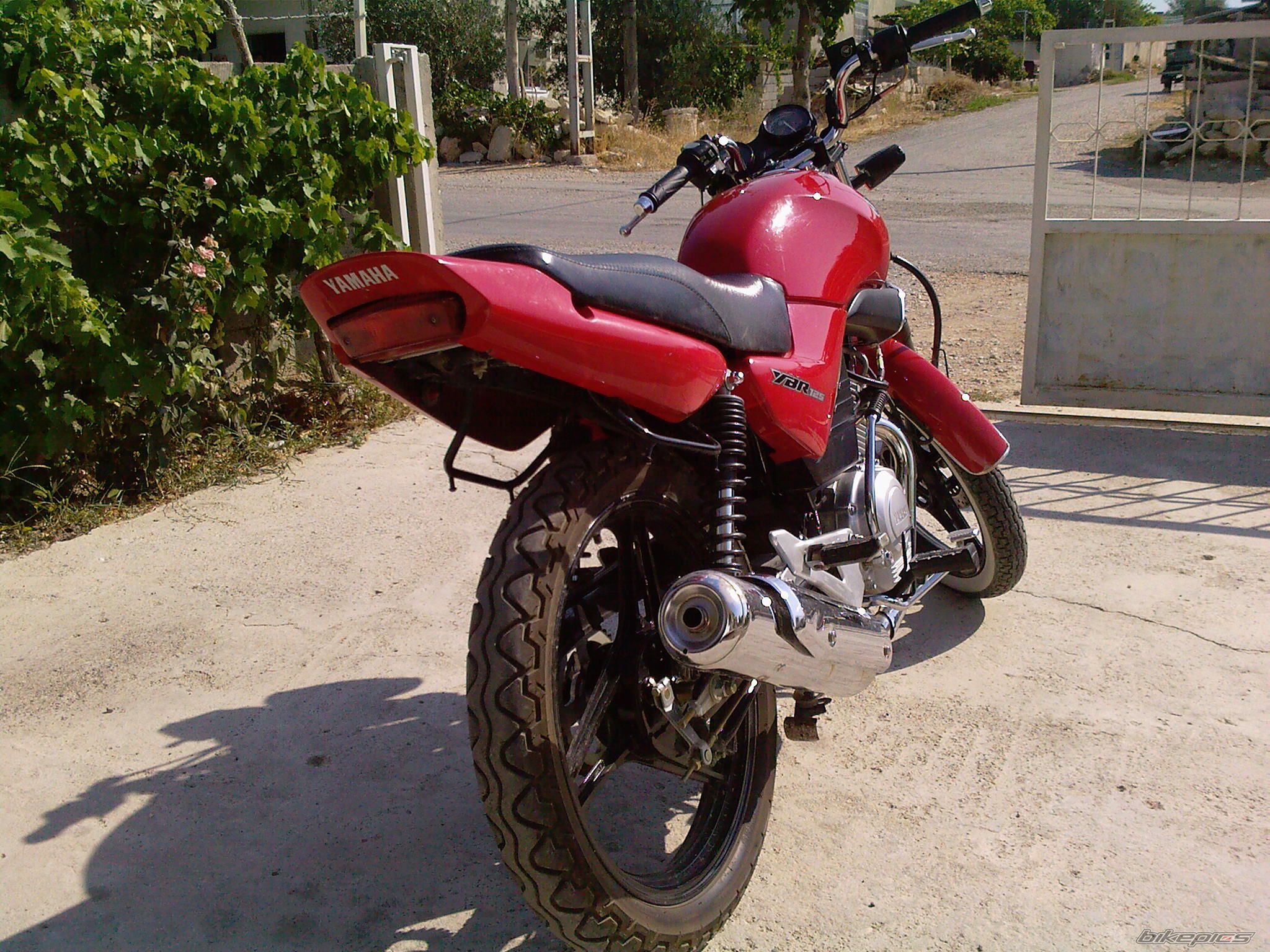 Photo 1421433