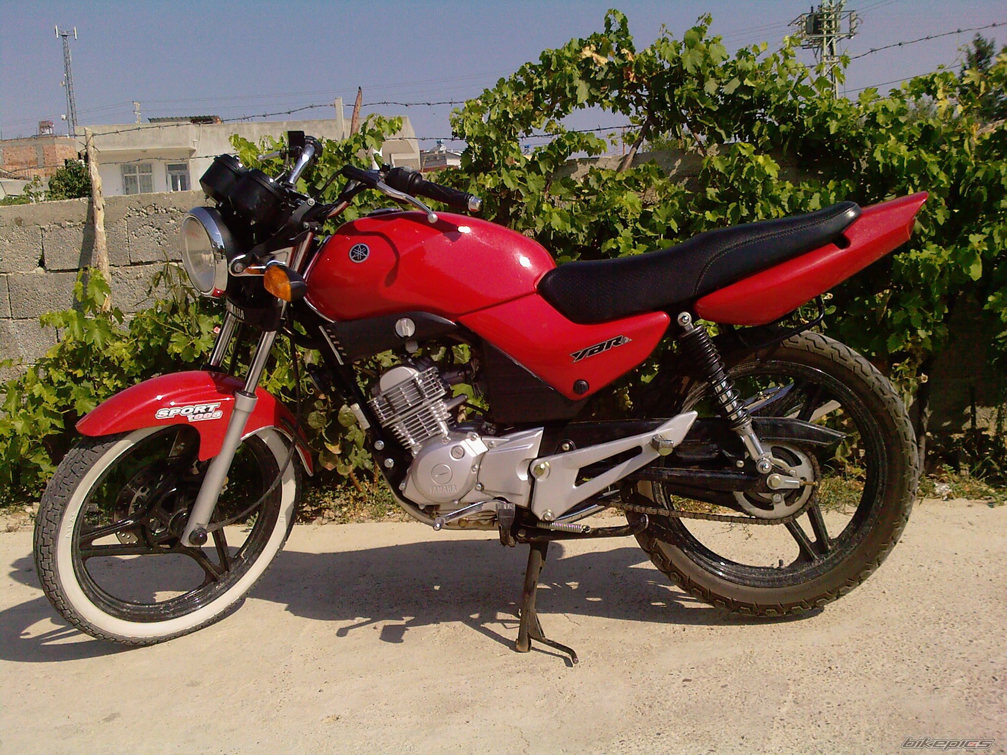 Photo 1421443