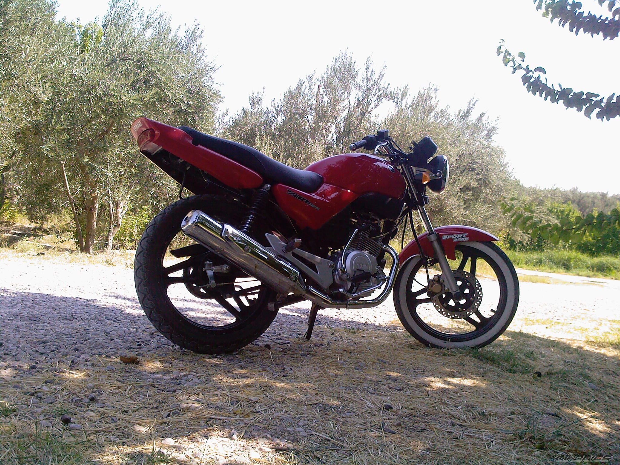Photo 1421448