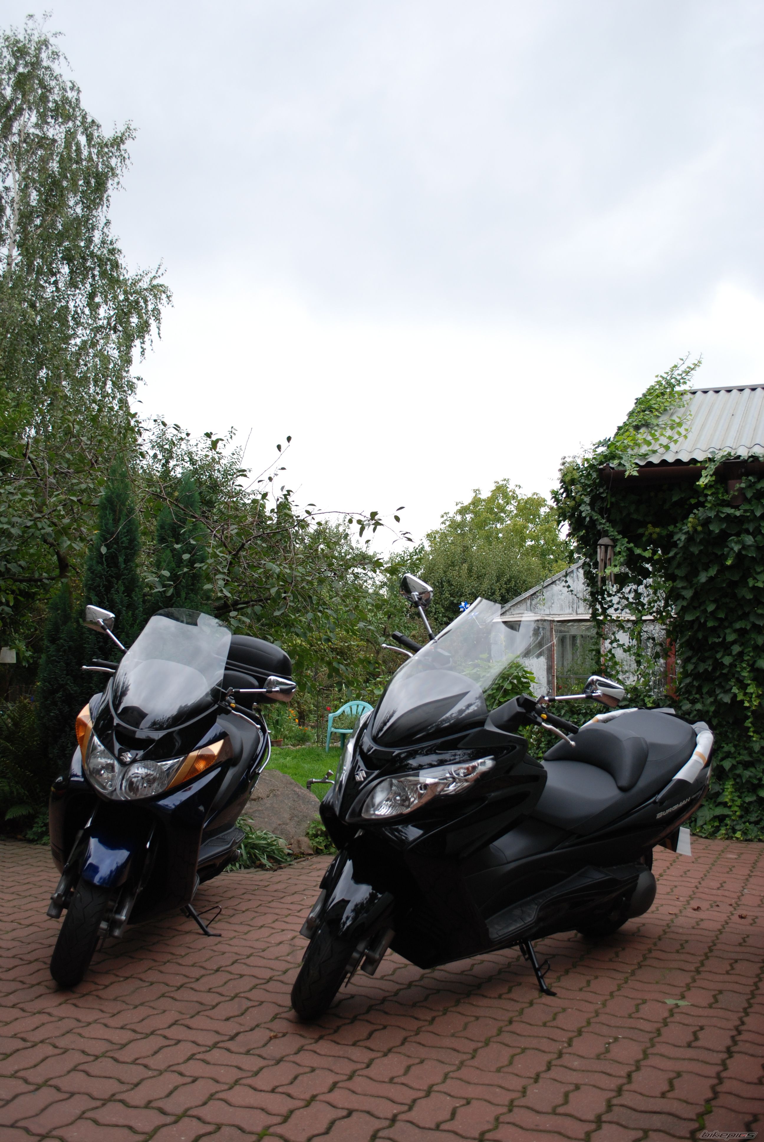 Photo 1421509