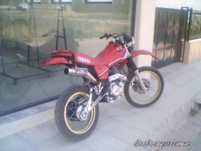 Photo 1421647