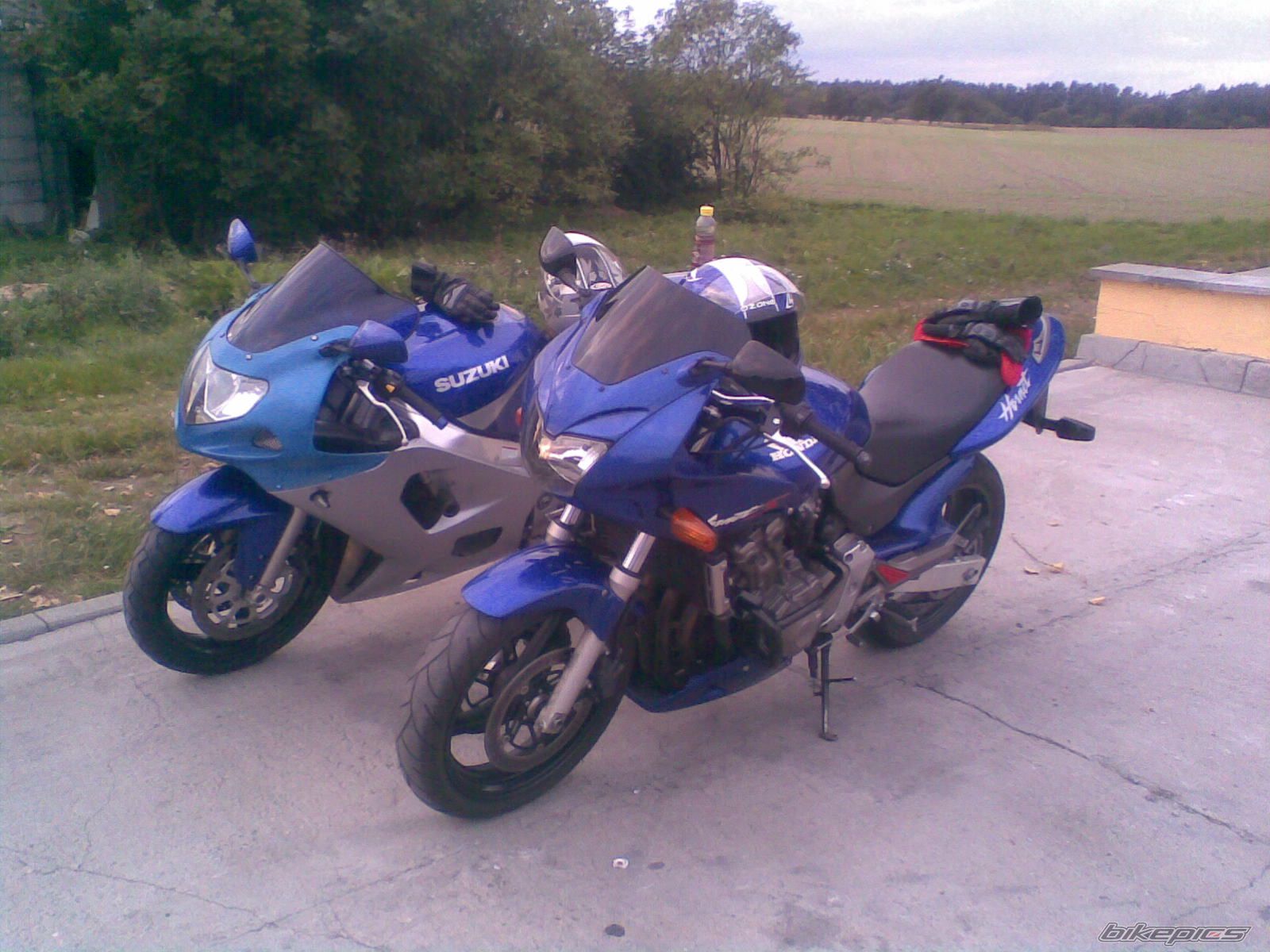 Photo 1421653