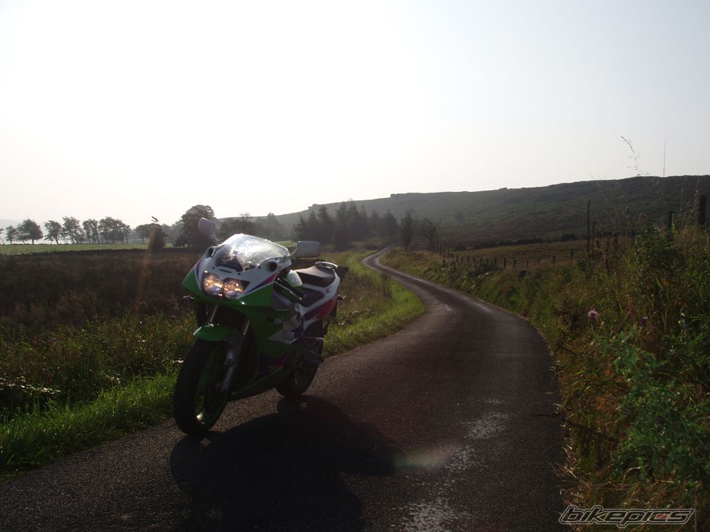 Photo 1421712