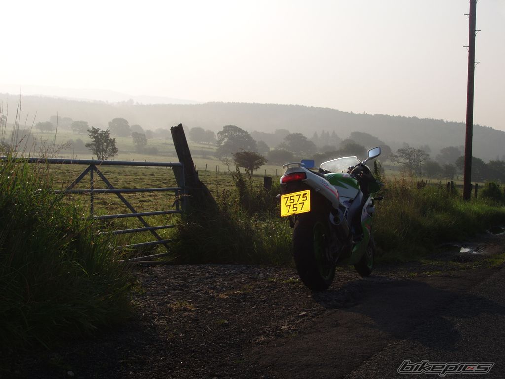 Photo 1421716