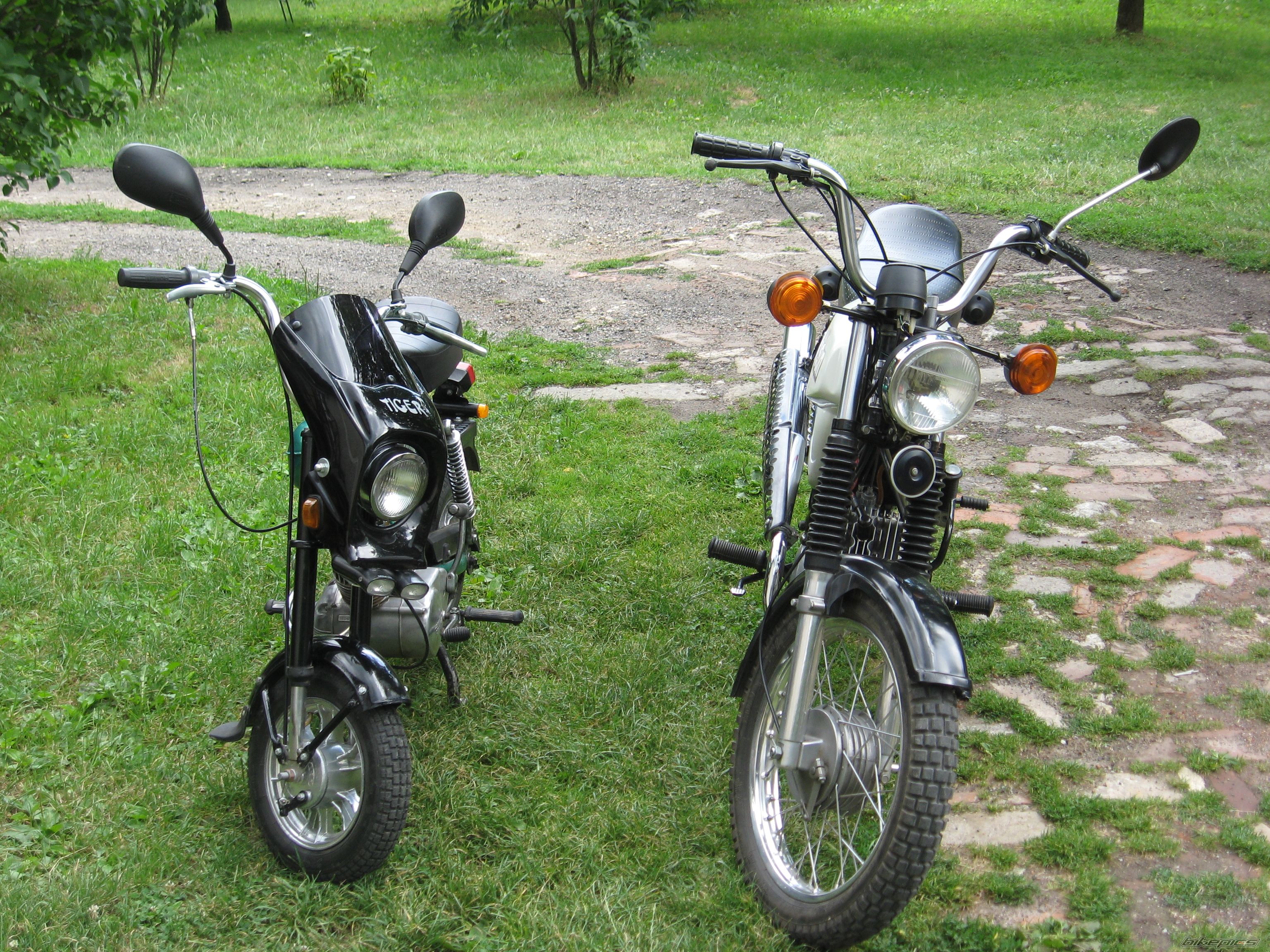 Photo 1421734