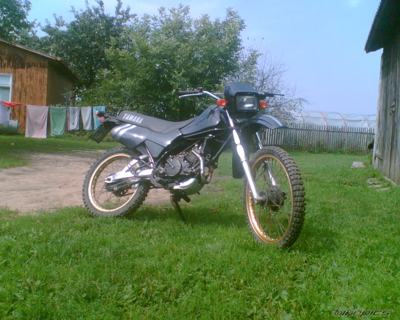 Photo 1421742