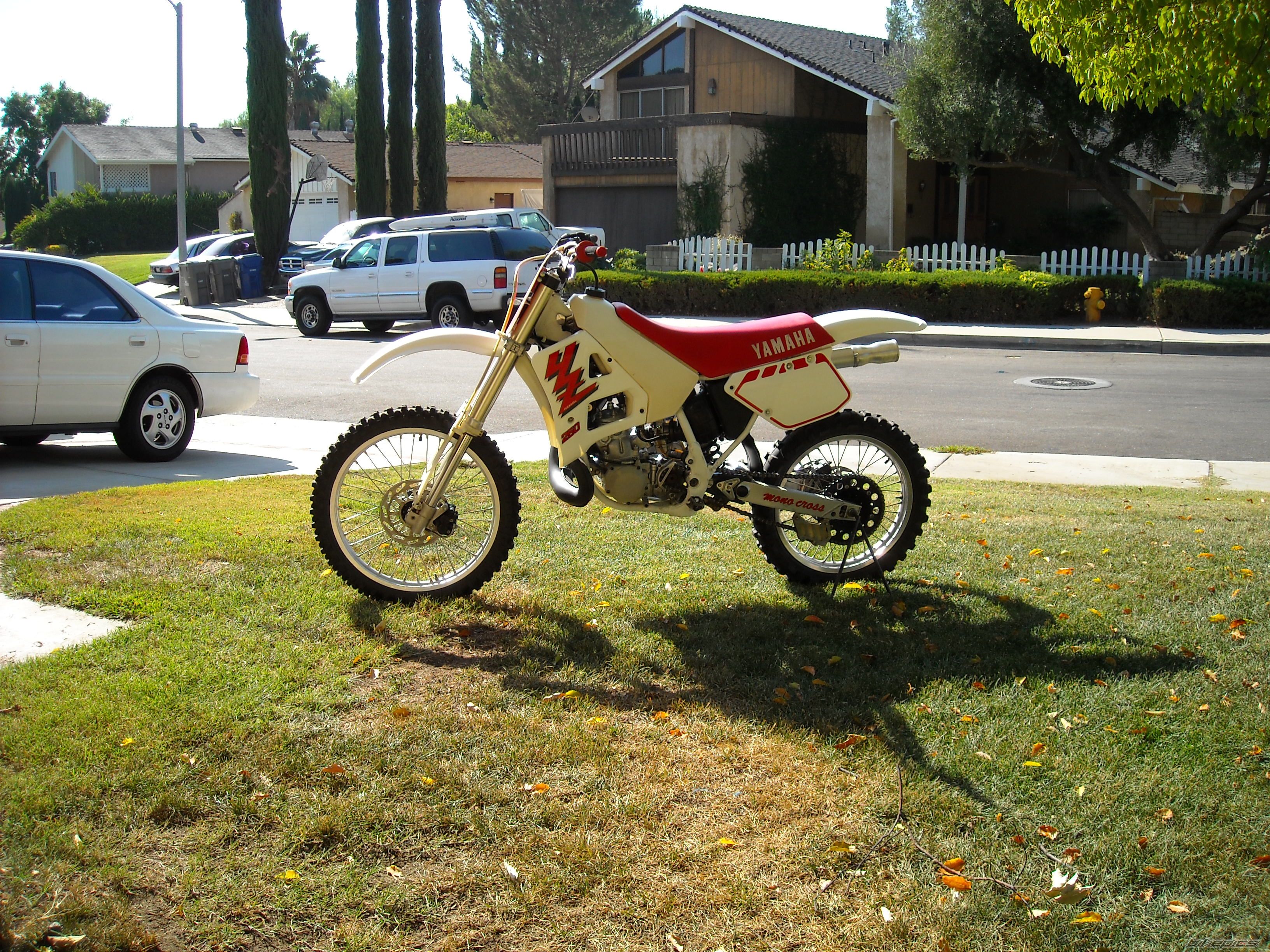 Photo 1421754