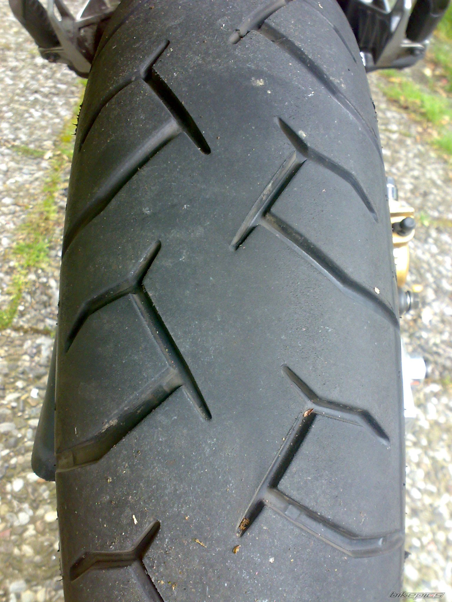 Photo 1421770