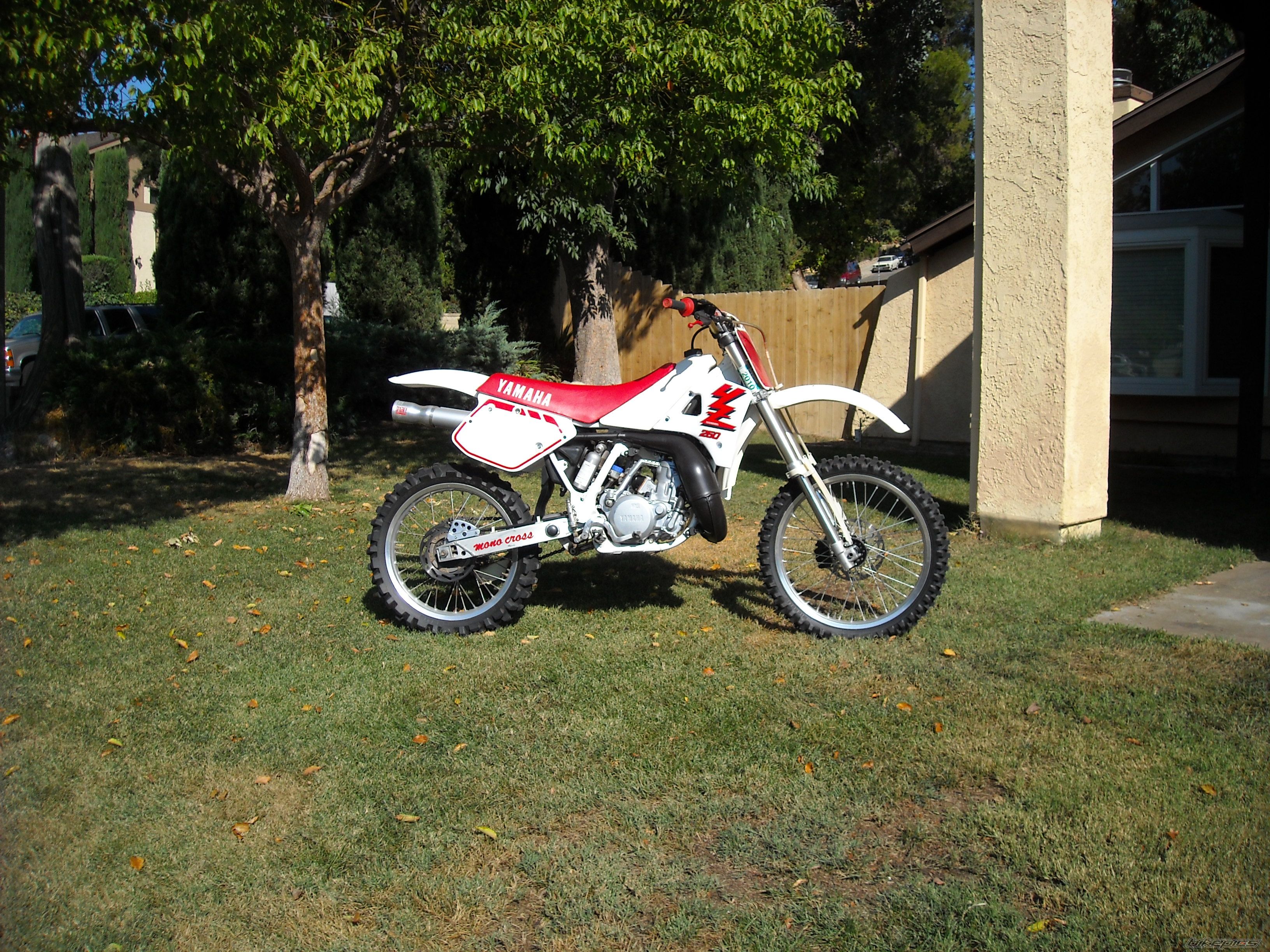 Photo 1421774