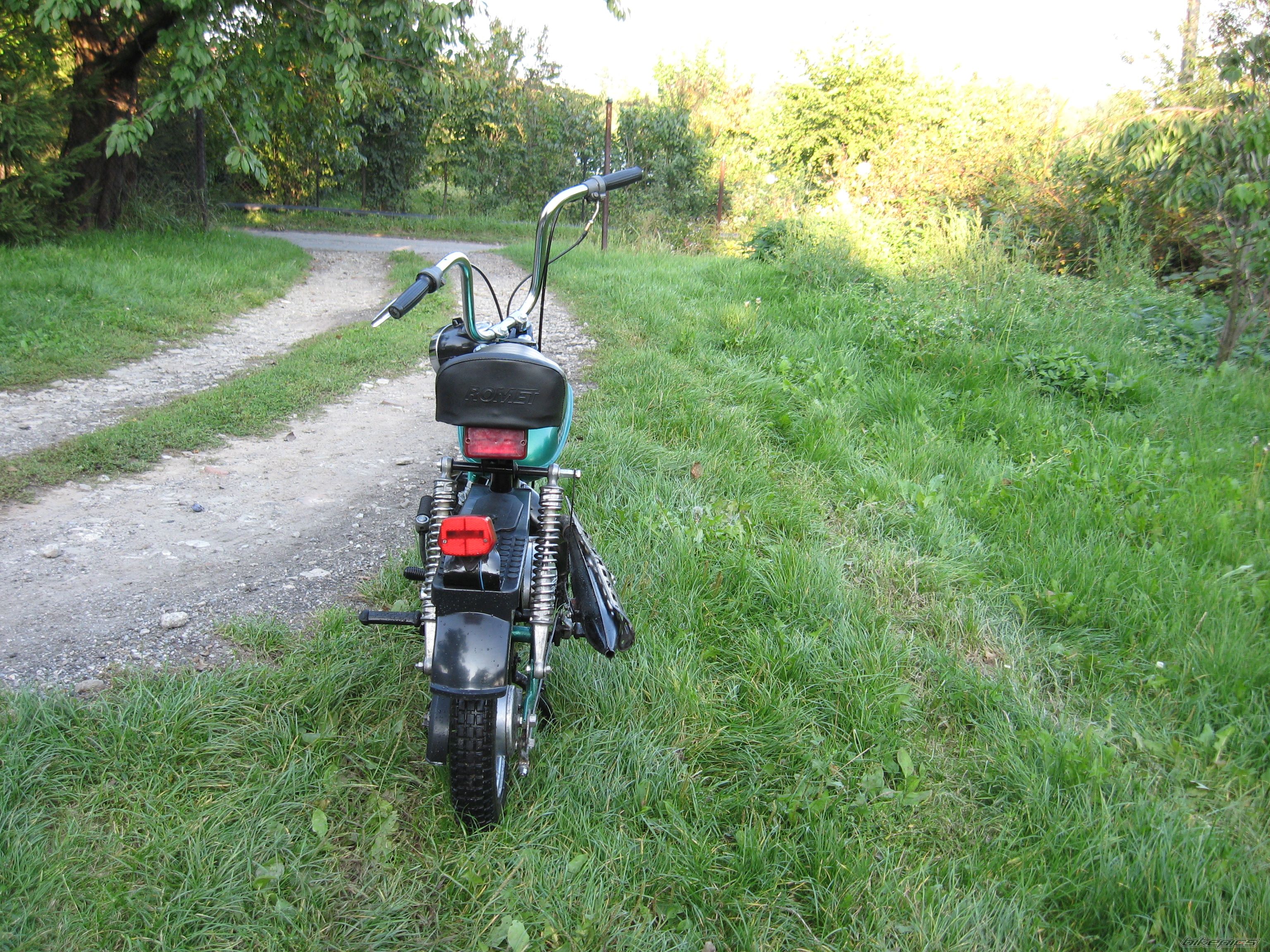Photo 1421859