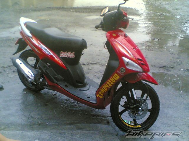 Photo 1421871