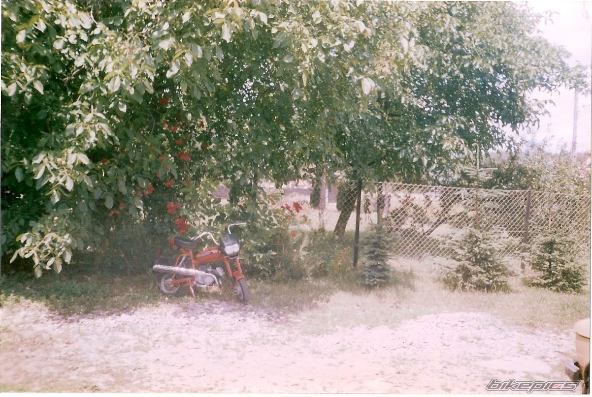 Photo 1421886