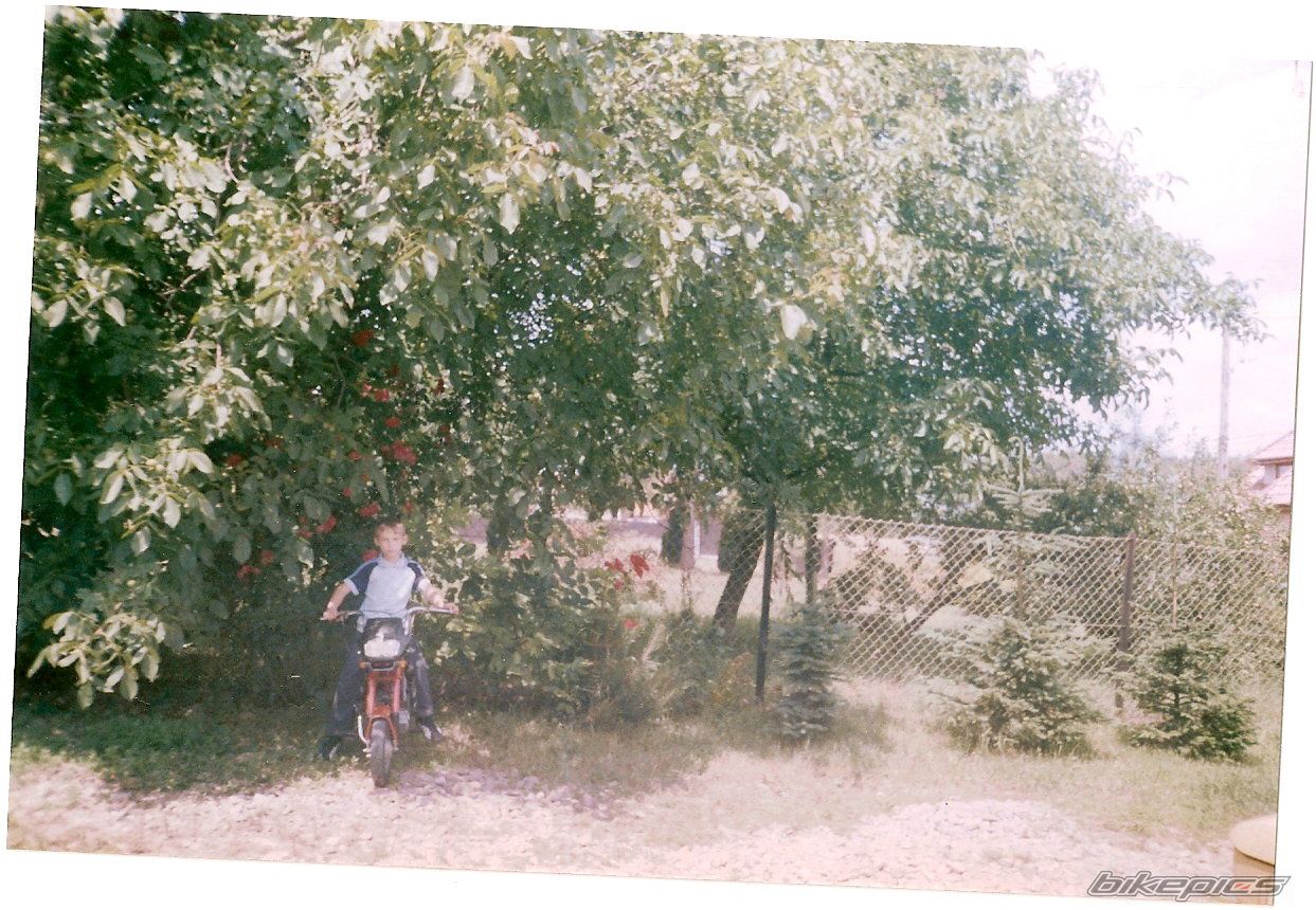Photo 1421887