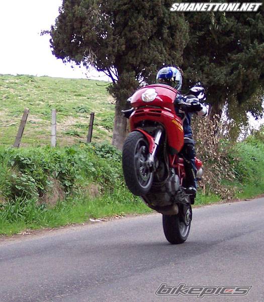 Photo 142192