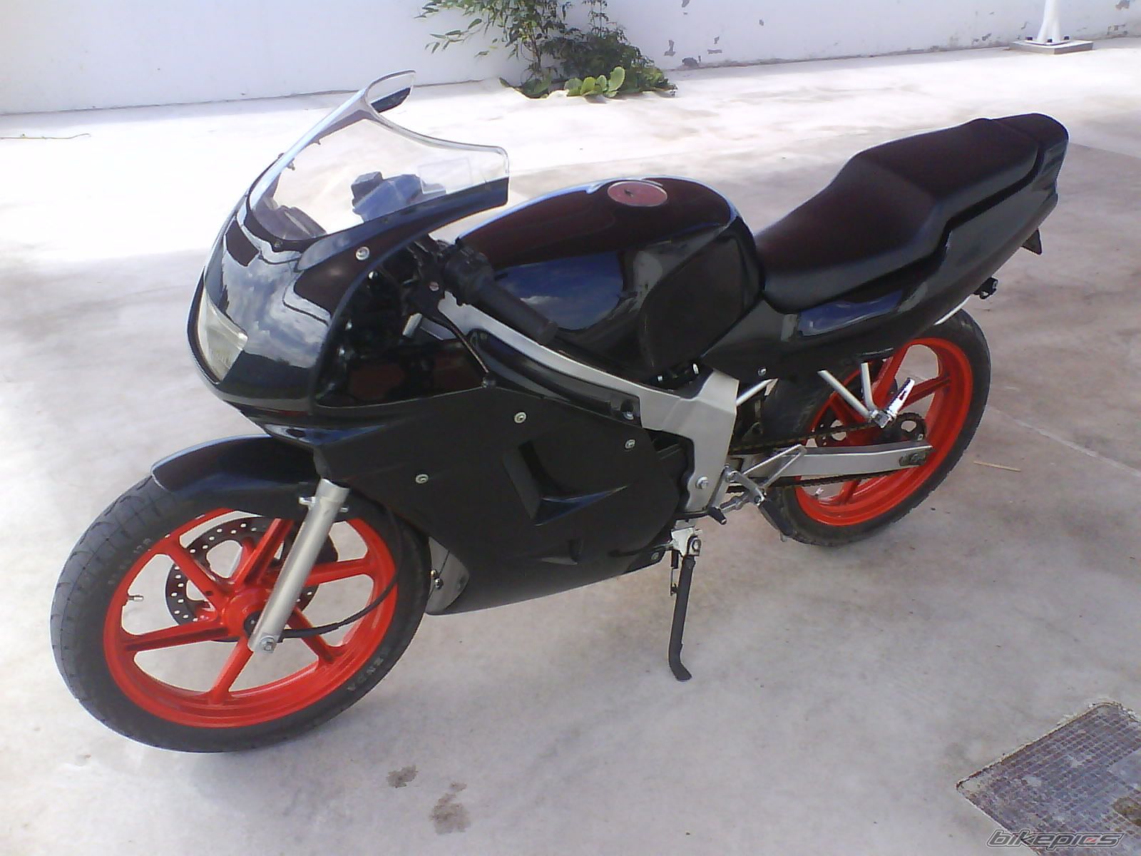 Photo 1421937