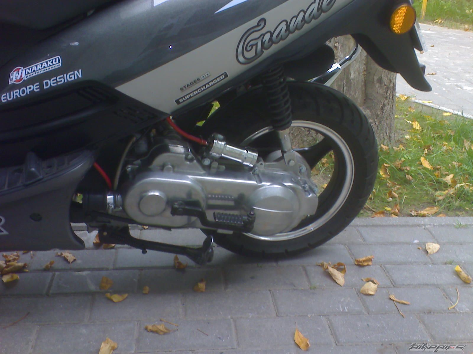 Photo 1422211
