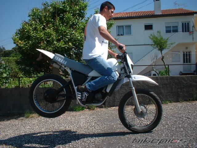 Photo 142259