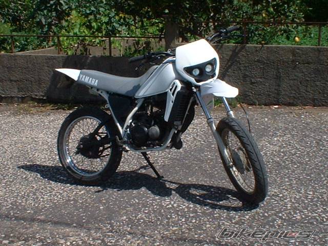 Photo 142261