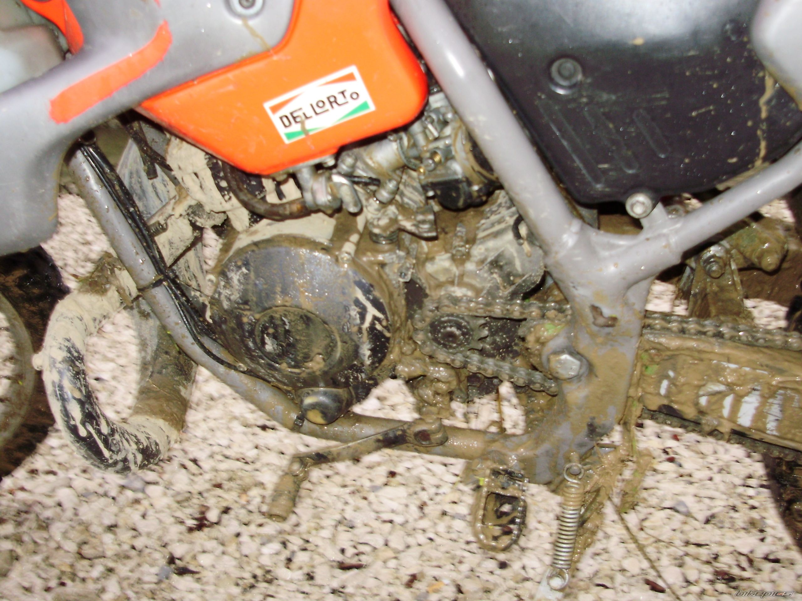 Photo 1422674