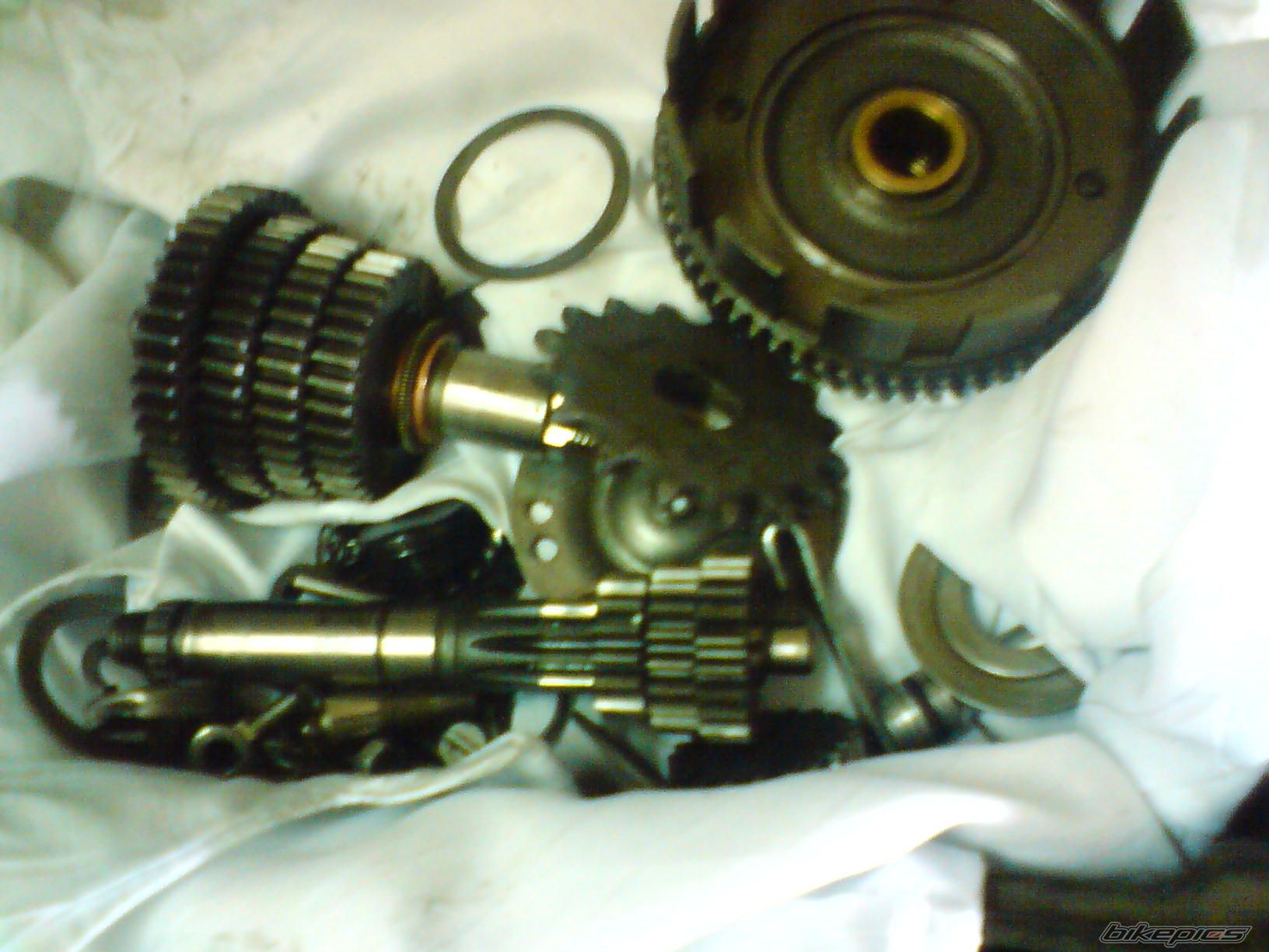 Photo 1422754