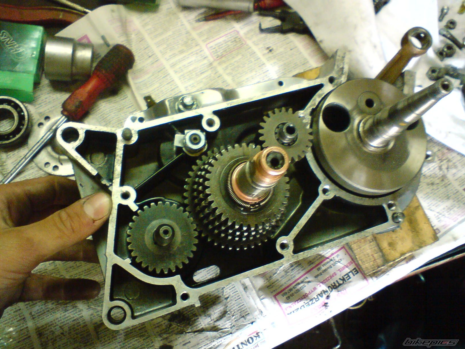 Photo 1422756