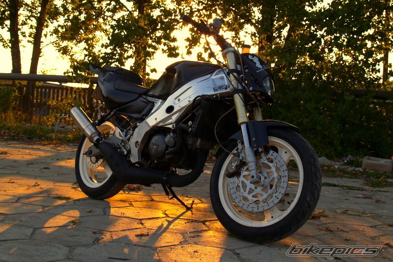 Photo 1422766