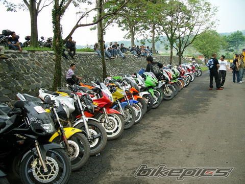 Photo 1423080