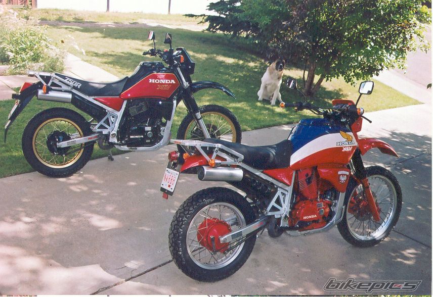 Bike Photo 1423098