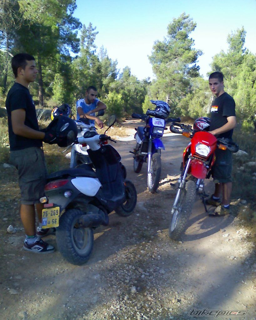 Photo 1423164
