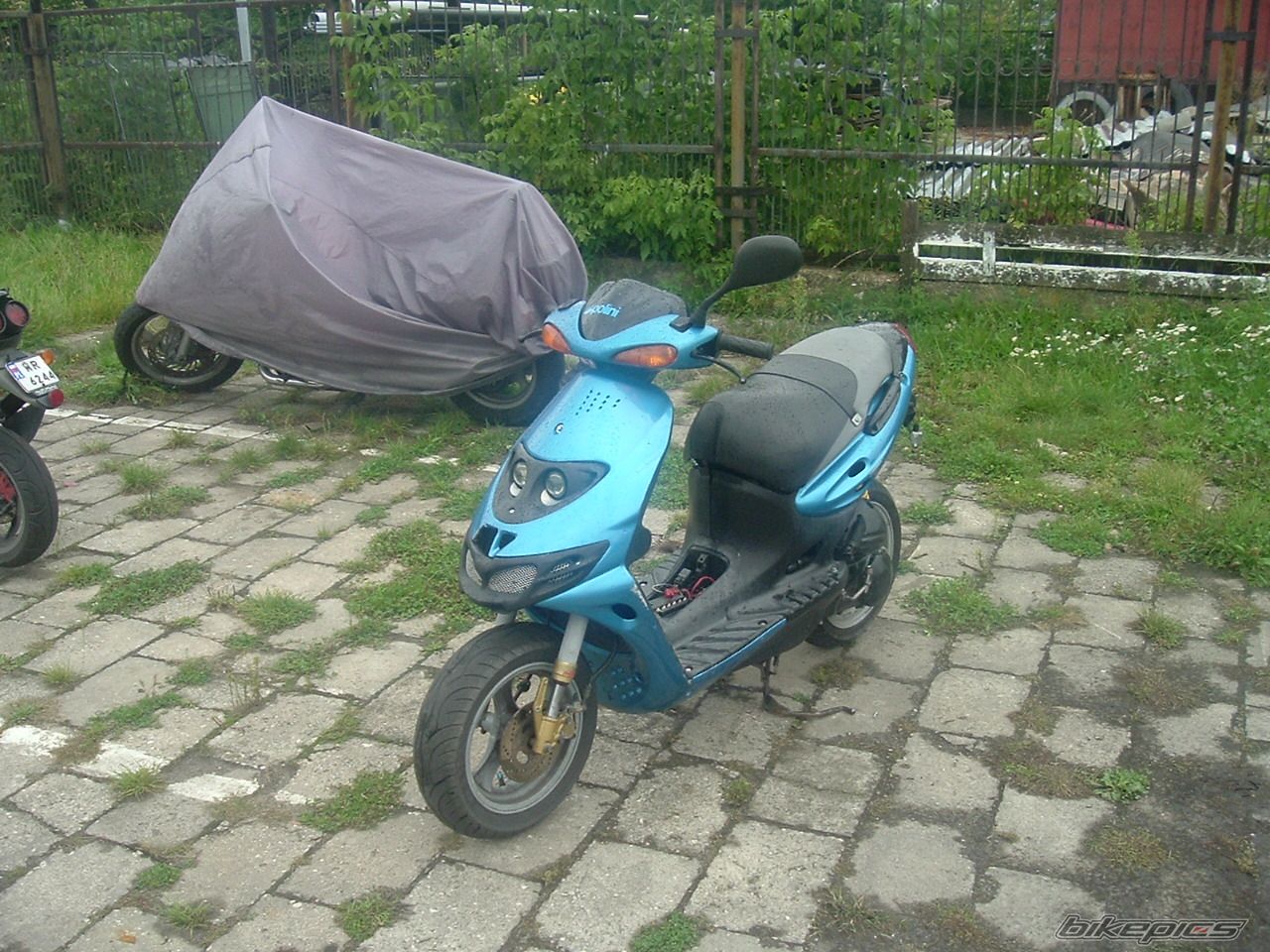 Photo 1423175