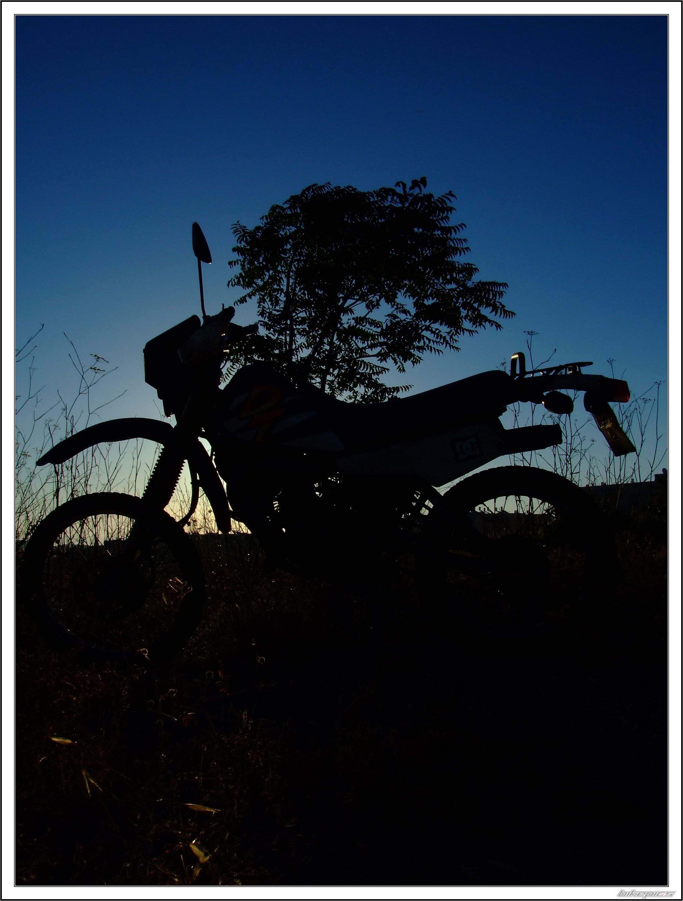 Photo 1423188