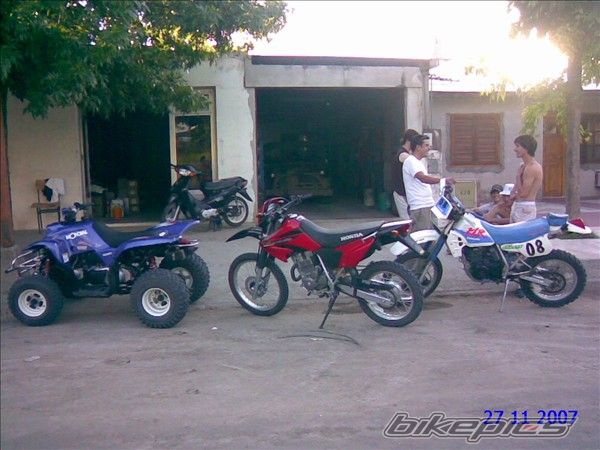 Photo 1423294