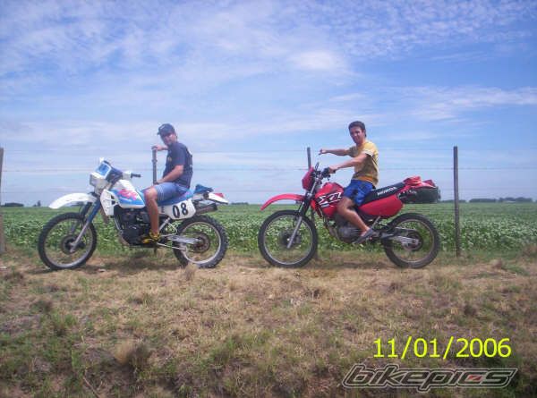 Photo 1423308
