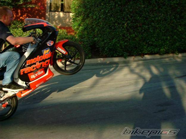 Photo 142344