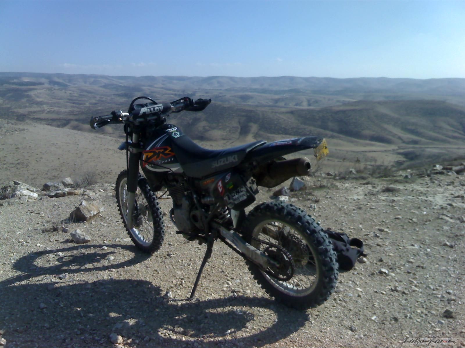 Photo 1423493