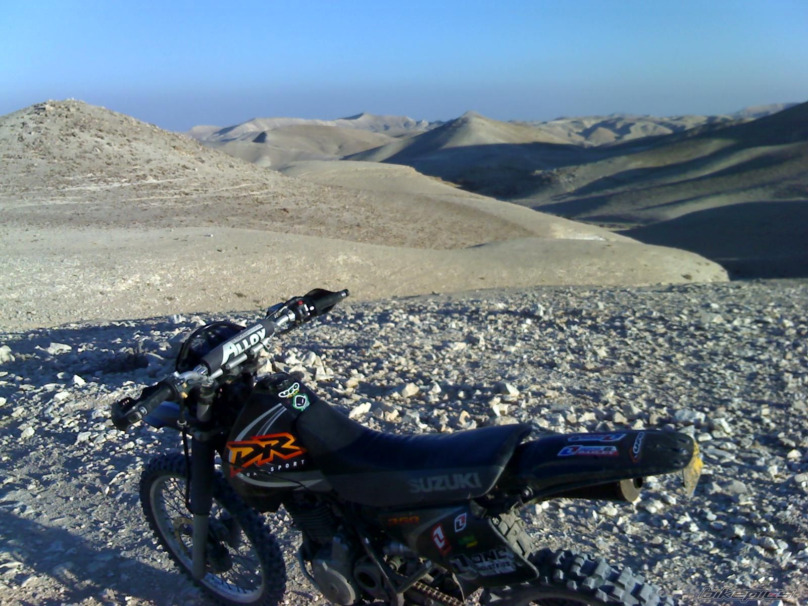 Photo 1423502