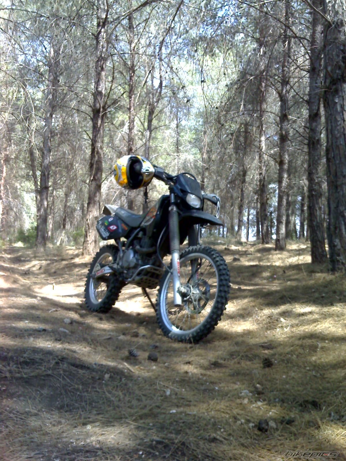 Photo 1423535