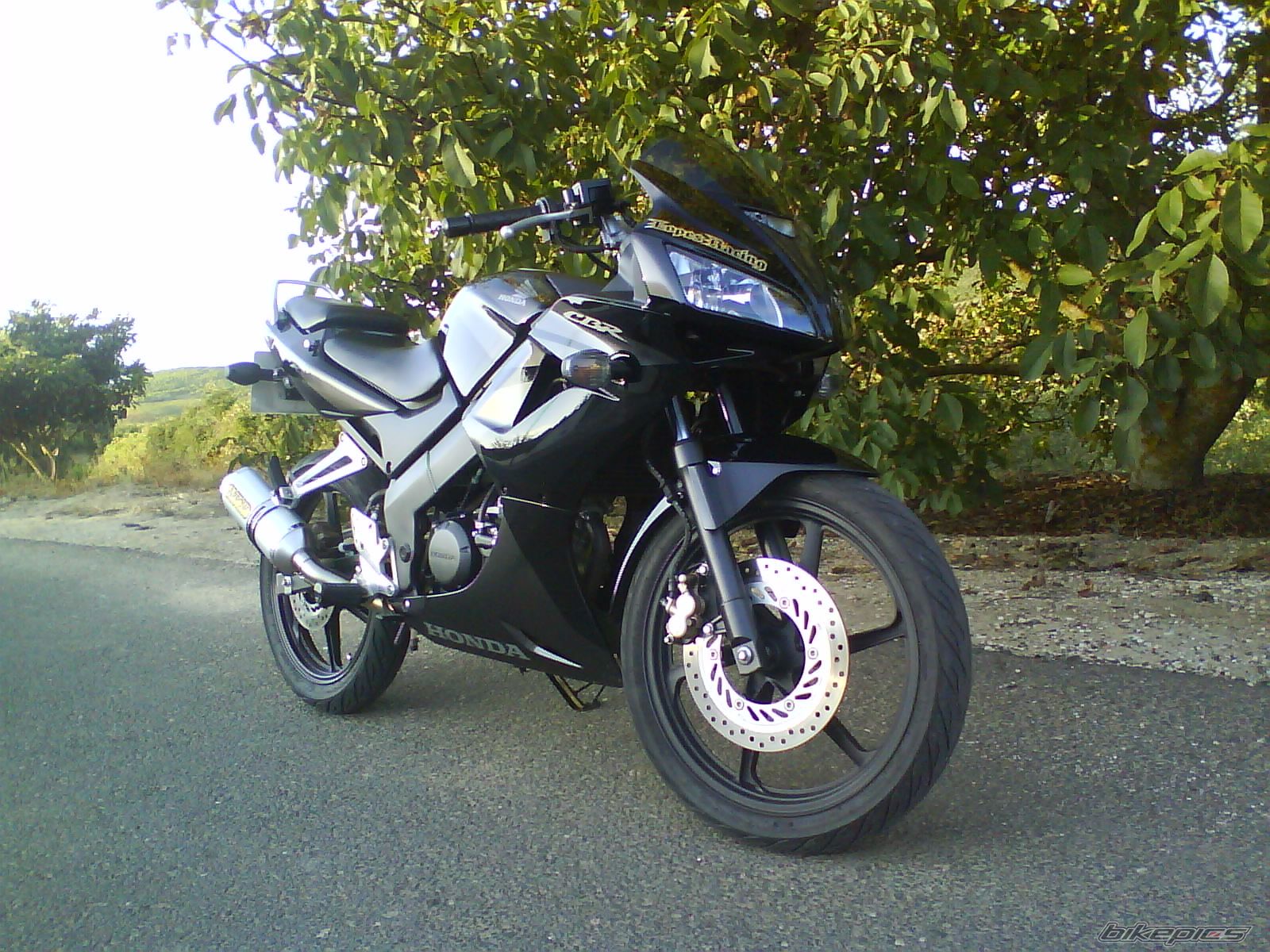 Photo 1423569